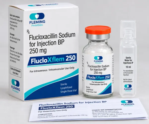 Flucloxacillin 250mg Injection